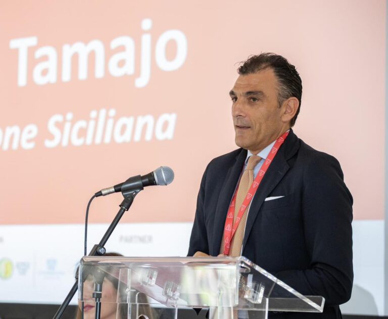 Almaviva, Tamajo al ministero del Lavoro: “Prorogare la cassa integrazione”