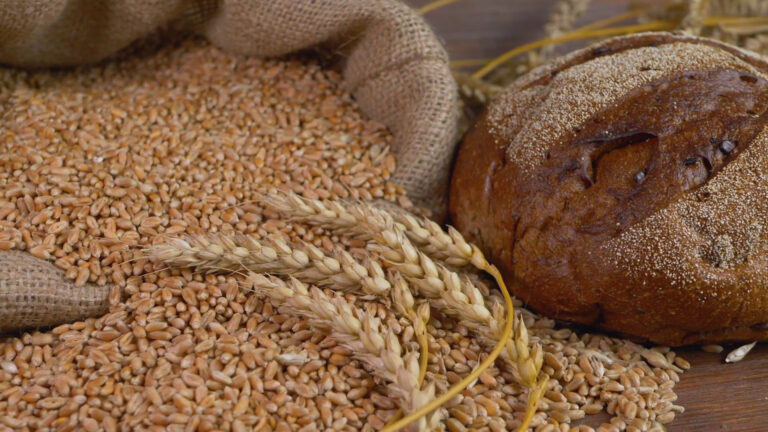 L’indice mondiale dei prezzi alimentari è aumentato