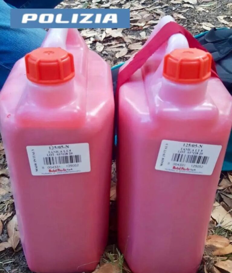 Roma, fermati attivisti Ultima Generazione con 20 litri di vernice rosa