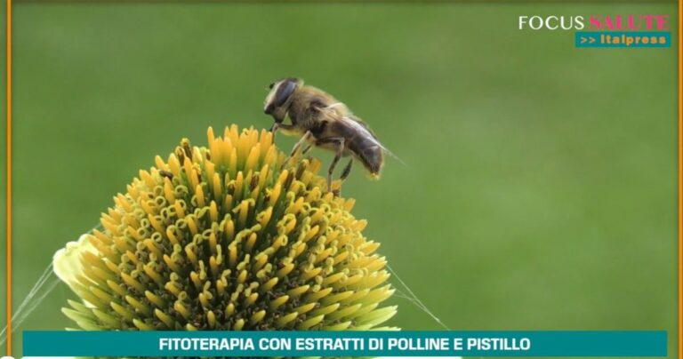 Fitoterapia con polline e pistillo,20 anni di studi dimostrano efficacia