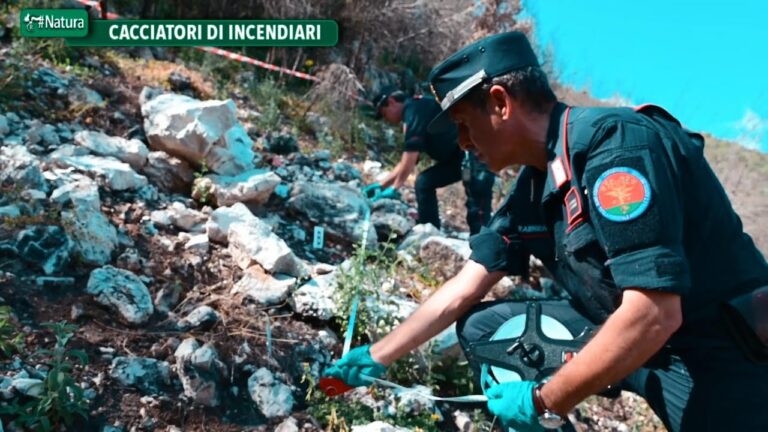 Cacciatori di incendiari: il piano dei Cc contro i piromani