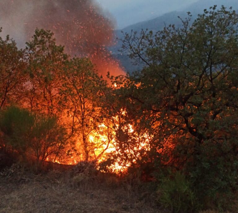 Emergenza incendi a Castelmola, il sindaco attacca i piromani: “Vigliacchi”