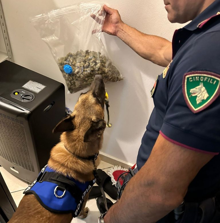 Droga a Catania, cane poliziotto scopre un 22enne con un chilo e mezzo di marijuana