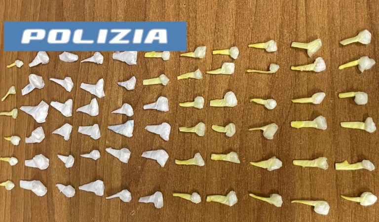 Trovato con 69 dosi di cocaina, arrestato 19enne Catanese