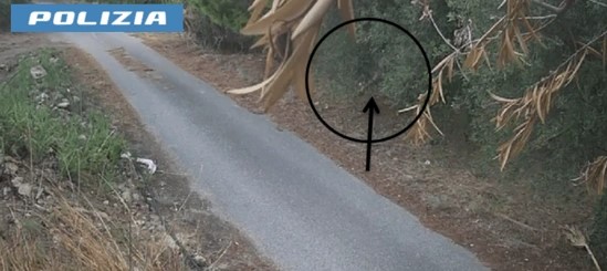 Tenta di appiccare un incendio, piromane arrestato nel messinese