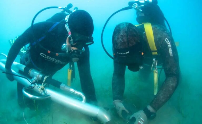 Terna avvia in Sicilia il trapianto sperimentale di Cymodocea nodosa