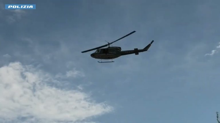 Cannabis, sequestrate 2 mila piante