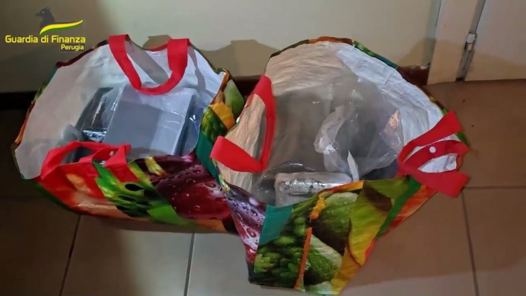 GdF, maxi-sequestro di droga