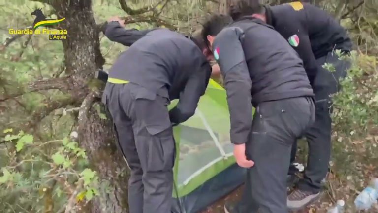 Droga nei boschi: blitz della GdF