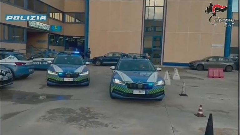 In manette i “cannibali” di automobili