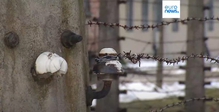 Gli 80 anni dalla liberazione del campo di sterminio di Auschwitz