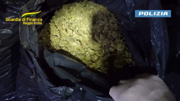 Droga, smantellata rete da 8 milioni