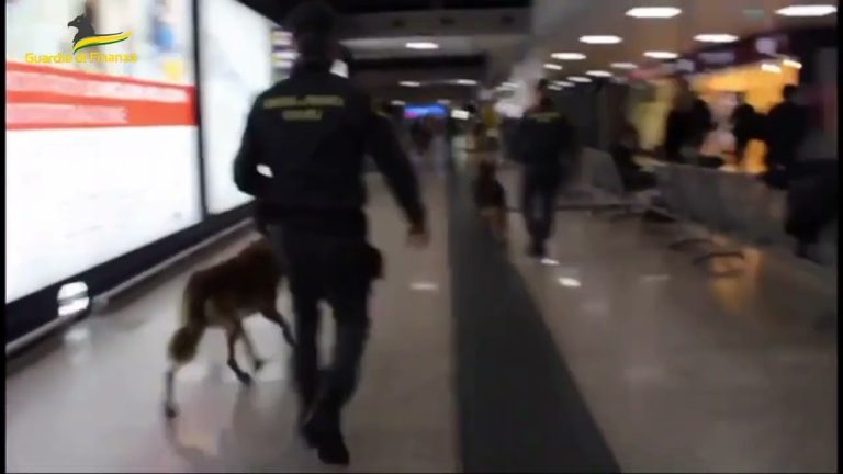 Traffico internazionale di droga: 10 arresti