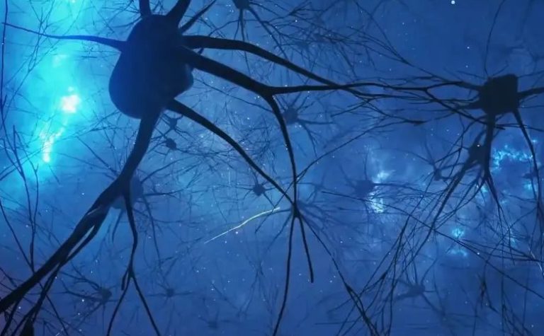 Curiosità e attività fisica, ecco come tenere “giovane” il cervello
