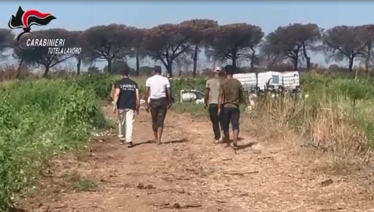 Corruzione e immigrazione clandestina, 36 arresti