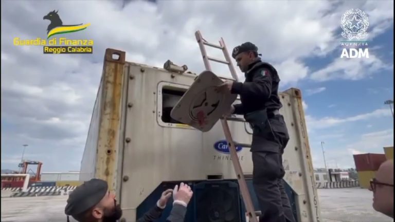 Il maxi-sequestro di droga: le immagini