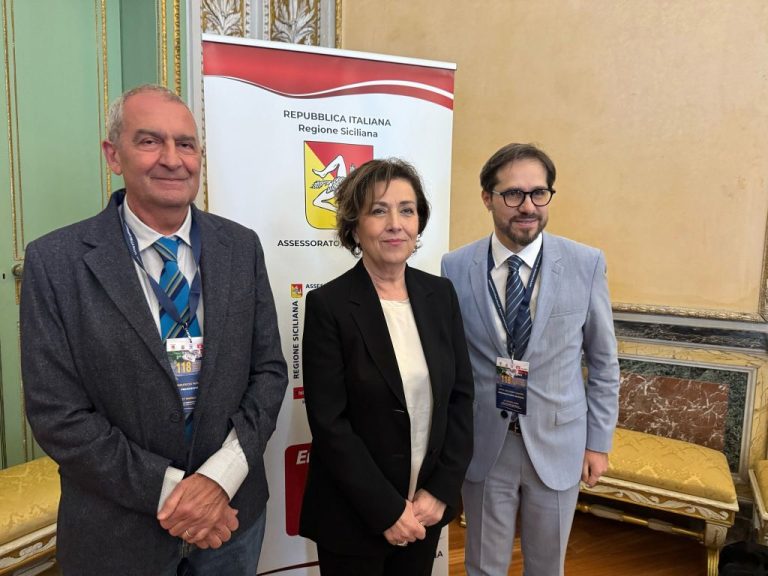 118 Sicilia, 427 mila interventi nel 2024. Castro: “Ora nuove sfide”