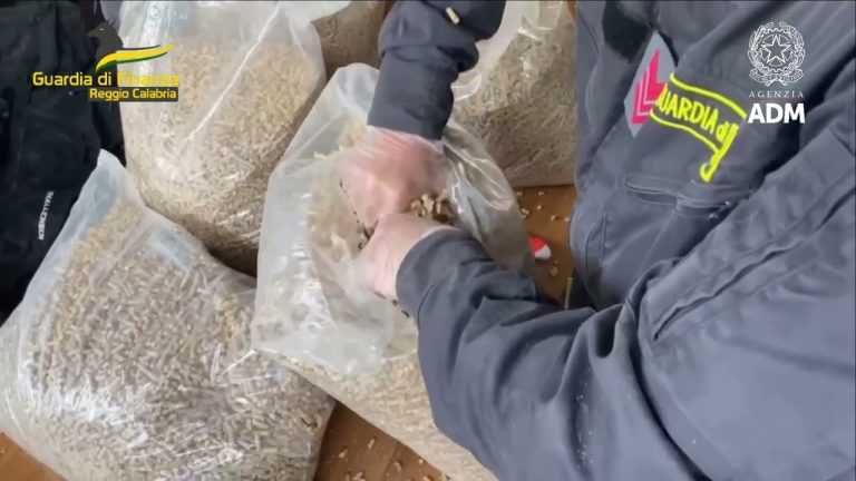 Una tonnellata di droga nei sacchi di pellet