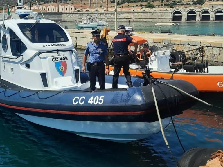 A Favignana i Carabinieri salvano quattro tartarughe in difficoltà
