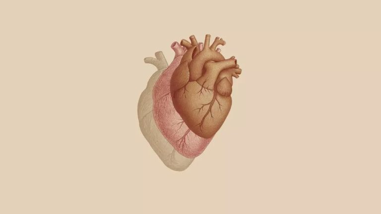 Scompenso cardiaco, nasce il gruppo di lavoro per la diagnosi precoce