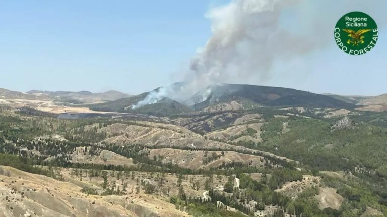 La Sicilia nella morsa degli incendi, Catania la zona più colpita
