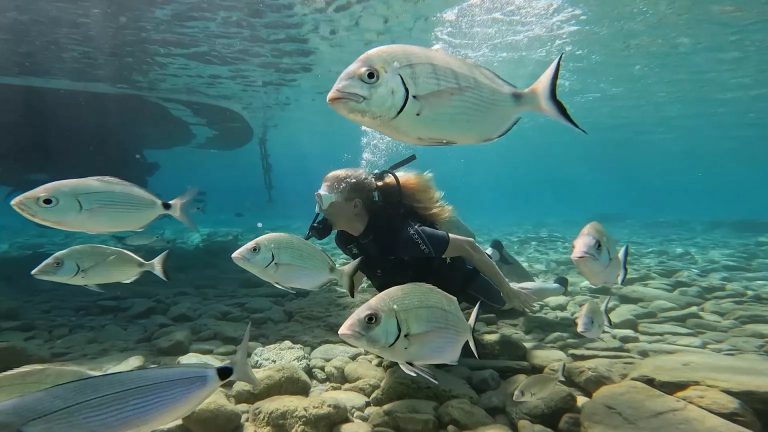 Eco-lusso e benessere a Bodrum: golf, caicchi e costa egea