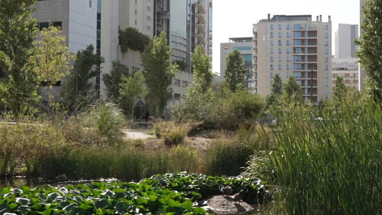 Suoli permeabili e tunnel giganti: Lisbona diventa una “città spugna”