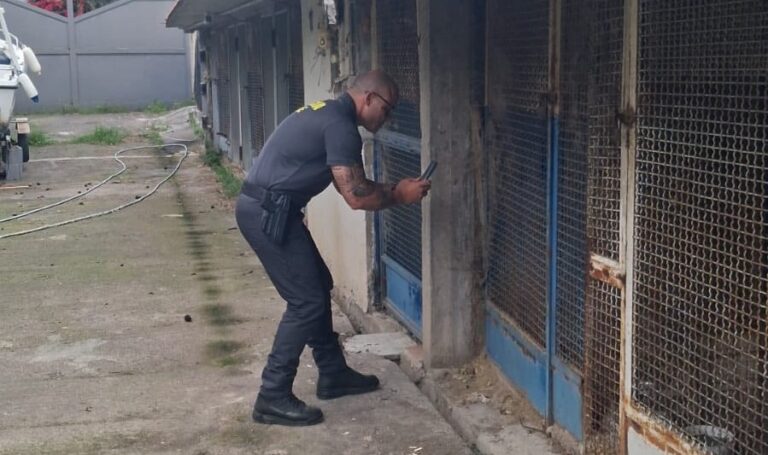 Canile lager a Taormina: Partito Animalista presenta denuncia in Procura