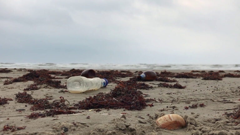 Boom di reati ambientali nelle coste italiane