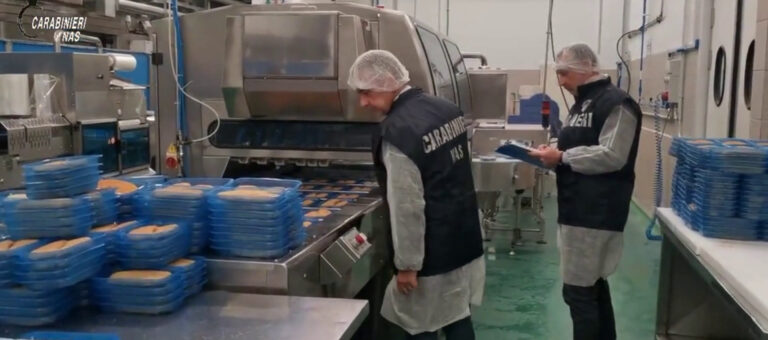 I Nas chiudono una piattaforma di surgelati a Catania