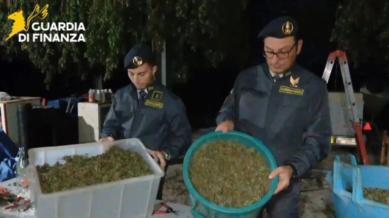 Scoperta “fabbrica della droga”, sequestrata una tonnellata di cannabis