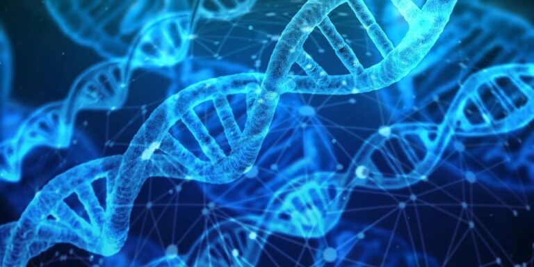 Garlasco, non c’è solo il Dna di Sempio: “Soggetti diversi”