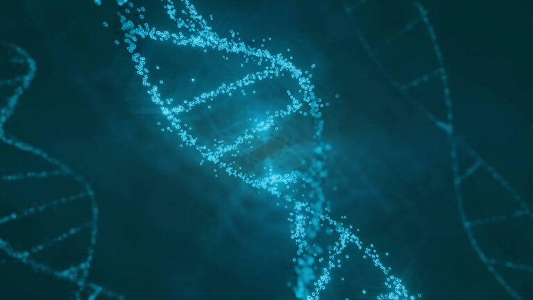 Cardiomiopatie, gene sconosciuto identificato