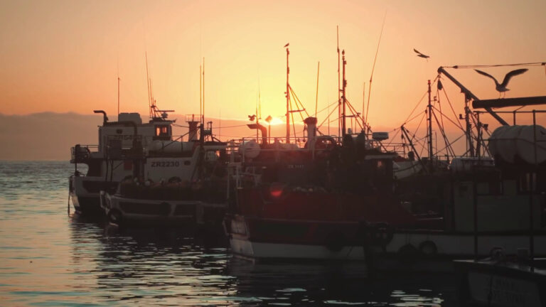 Trasporto marittimo, dalle ONG appello per la transizione verde