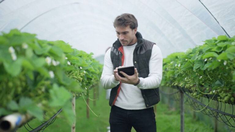 Agricoltura Made in Italy, primati e fragilità