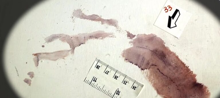 Garlasco, l’impronta 33 è uno spartiacque