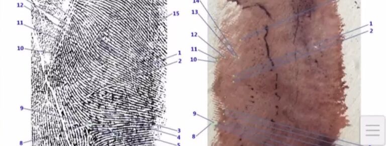 Garlasco, svolta clamorosa: trovata un’impronta di scarpa
