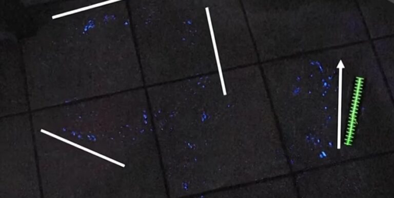 Garlasco, un’orma misteriosa nel sangue 