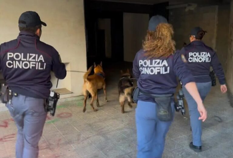 Catania, cani antidroga scovano un kg e mezzo di marijuana a San Cristofaro