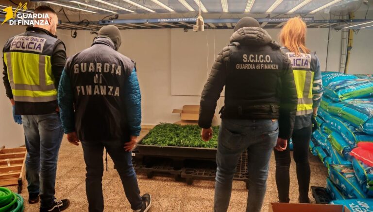 Droga tra Sicilia e Spagna: stroncato un traffico internazionale, 12 arresti