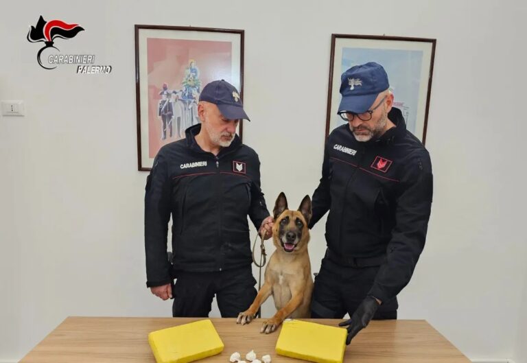 Maxi sequestro di cocaina a Palermo, stop ad un giro da 300 mila euro