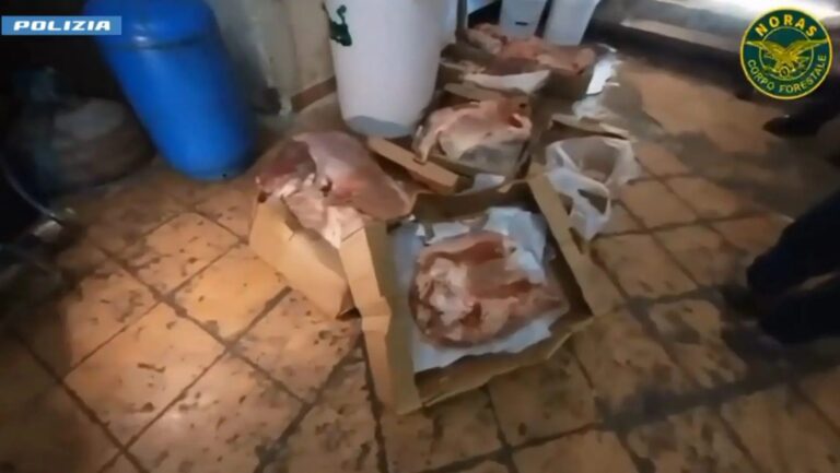 Controlli a tappeto sulla filiera alimentare a Catania, maxi multe e sequestri 