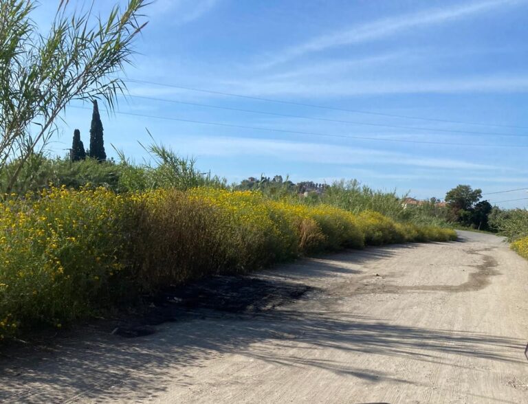 Giallo tra Mitogio e Taormina: chi ha ucciso Giuseppe Florio? Caccia al killer