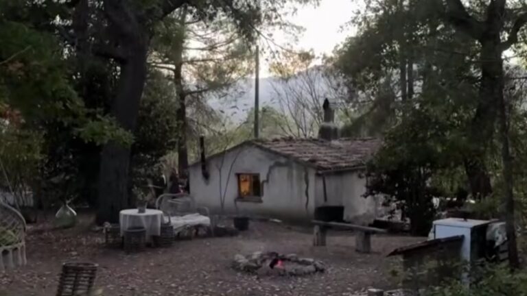 Famiglia nel bosco, le perizie sui bambini