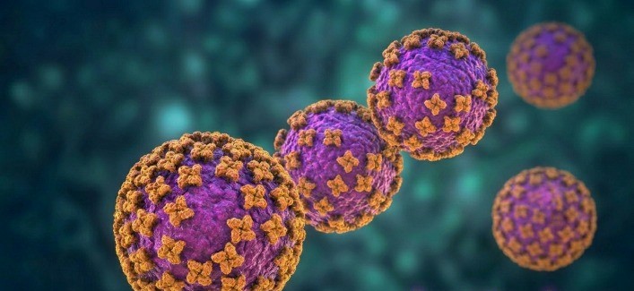 Hantavirus, cosa c’è da sapere