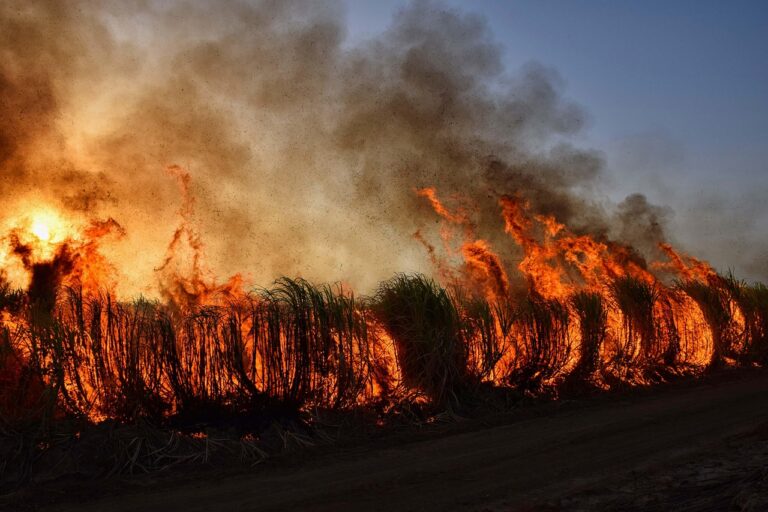 Incendi, 6 milioni per potenziare la tutela delle riserve regionali