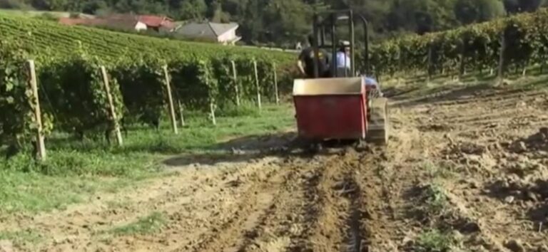 Caldo e siccità,  l’allerta continua