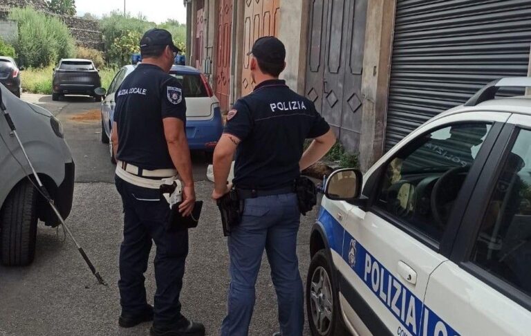 Cani uccisi e torturati nel Catanese, denunciato un 47enne
