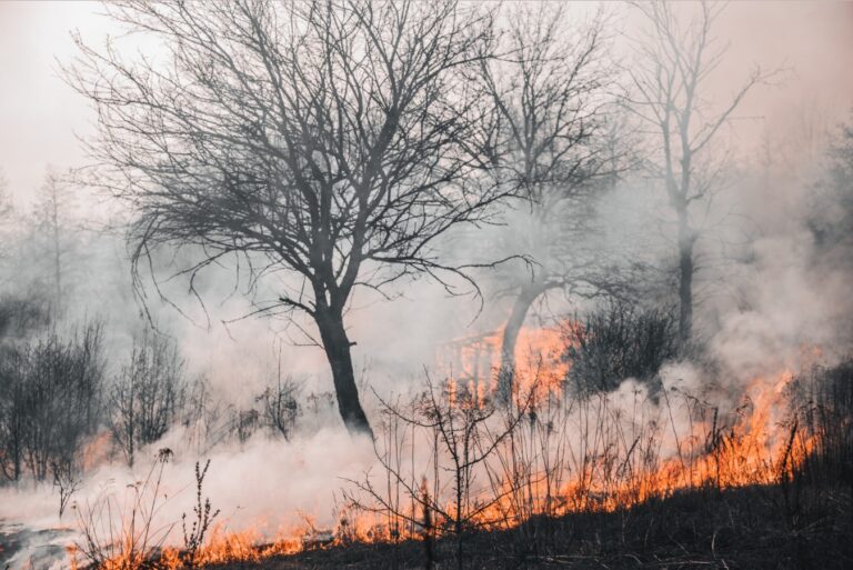 Incendio a Taormina, Paola Costa: “Fiamme alte 10 metri, abbiamo vissuto momenti terribili”