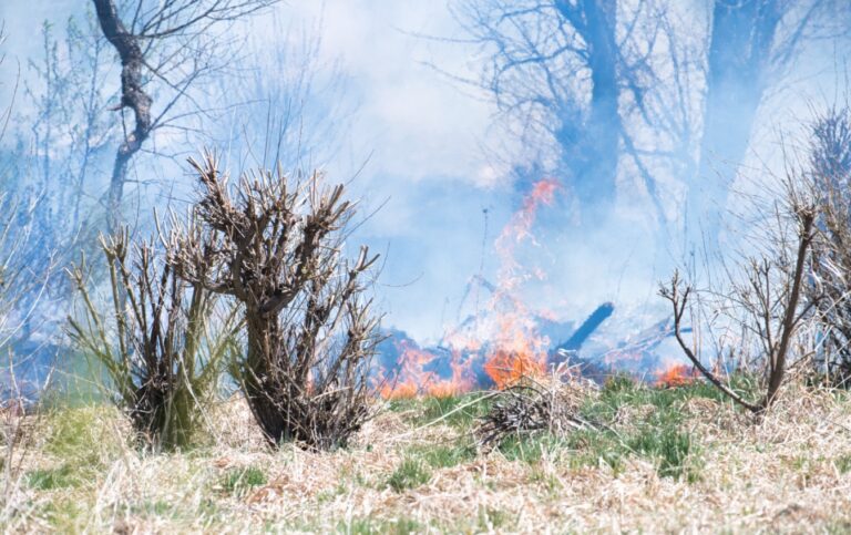 Nuovo incendio a Taormina, piromani ancora in azione